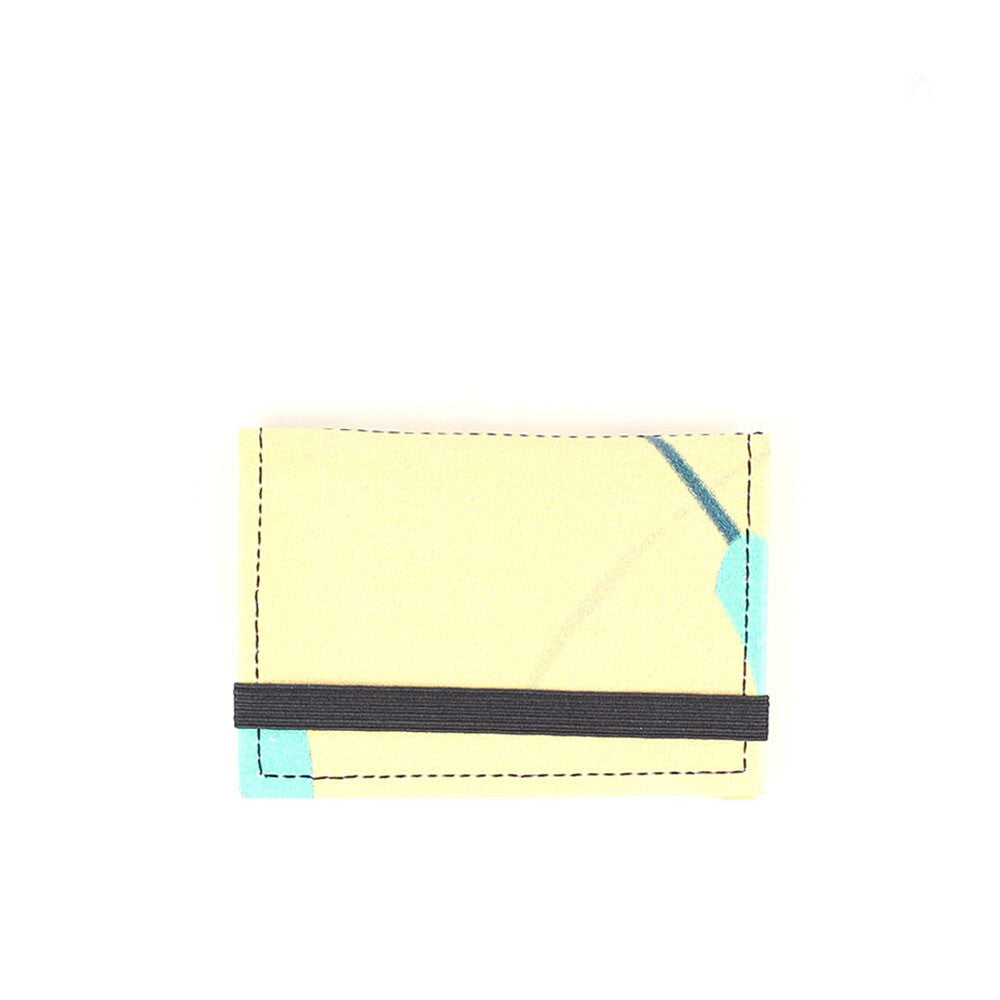 CARTERA MICRO