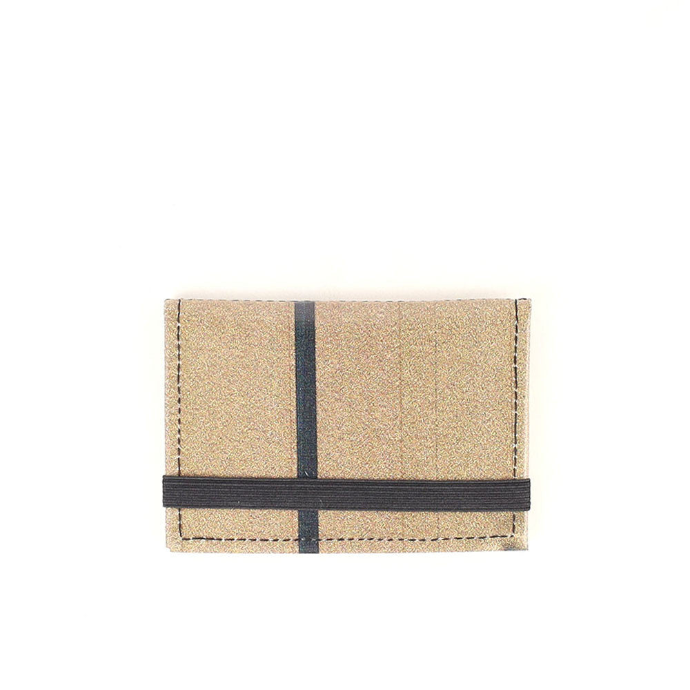 CARTERA MICRO