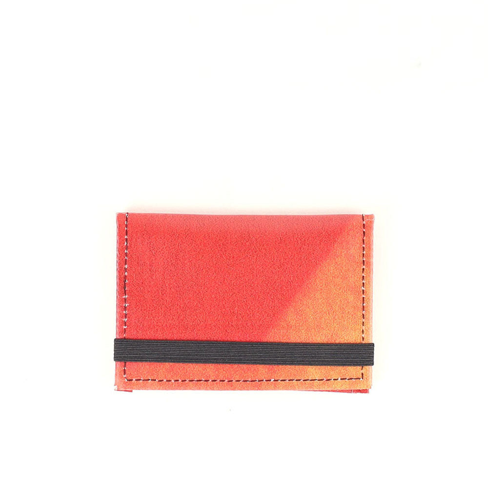 CARTERA MICRO