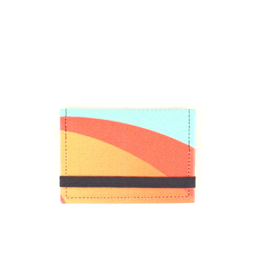 CARTERA MICRO